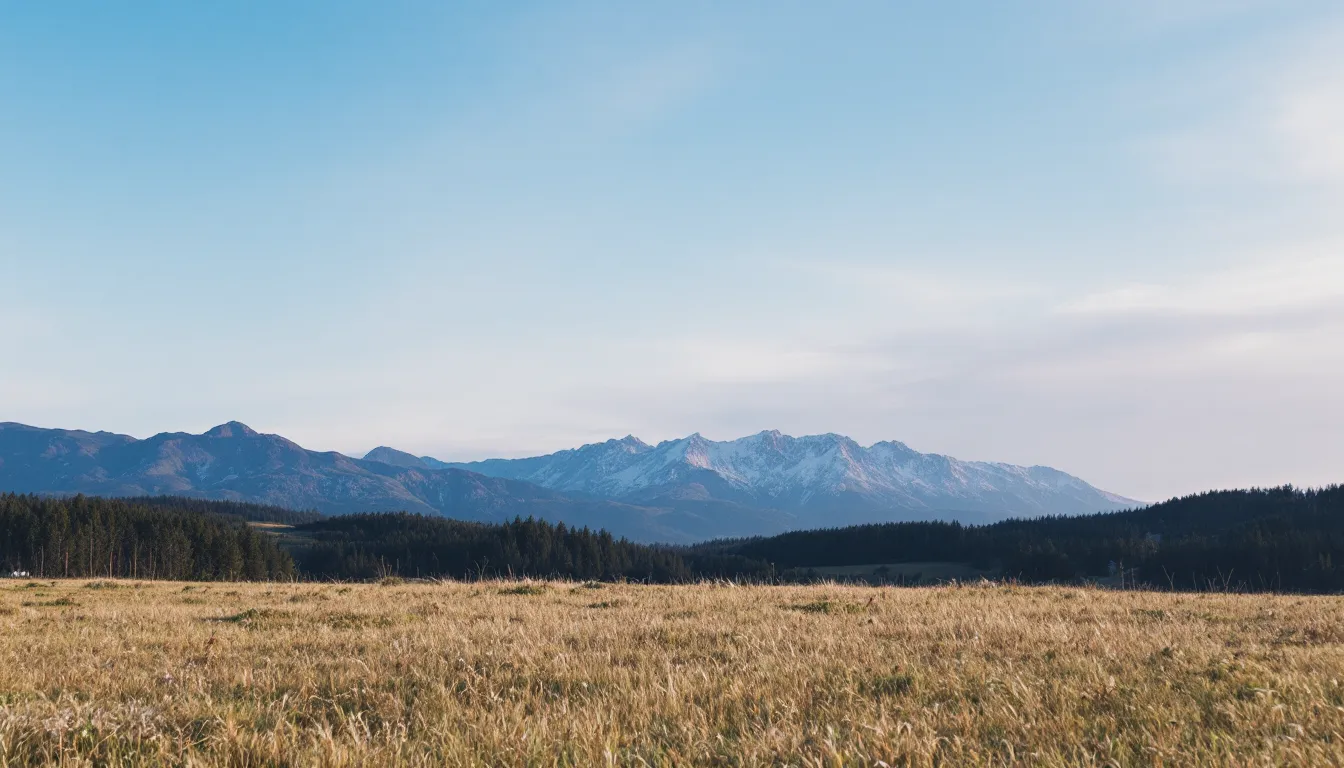 Marketer reviews AI marketing platform dashboard showing journeys, creative tests, and budget insights.